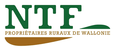 NTF